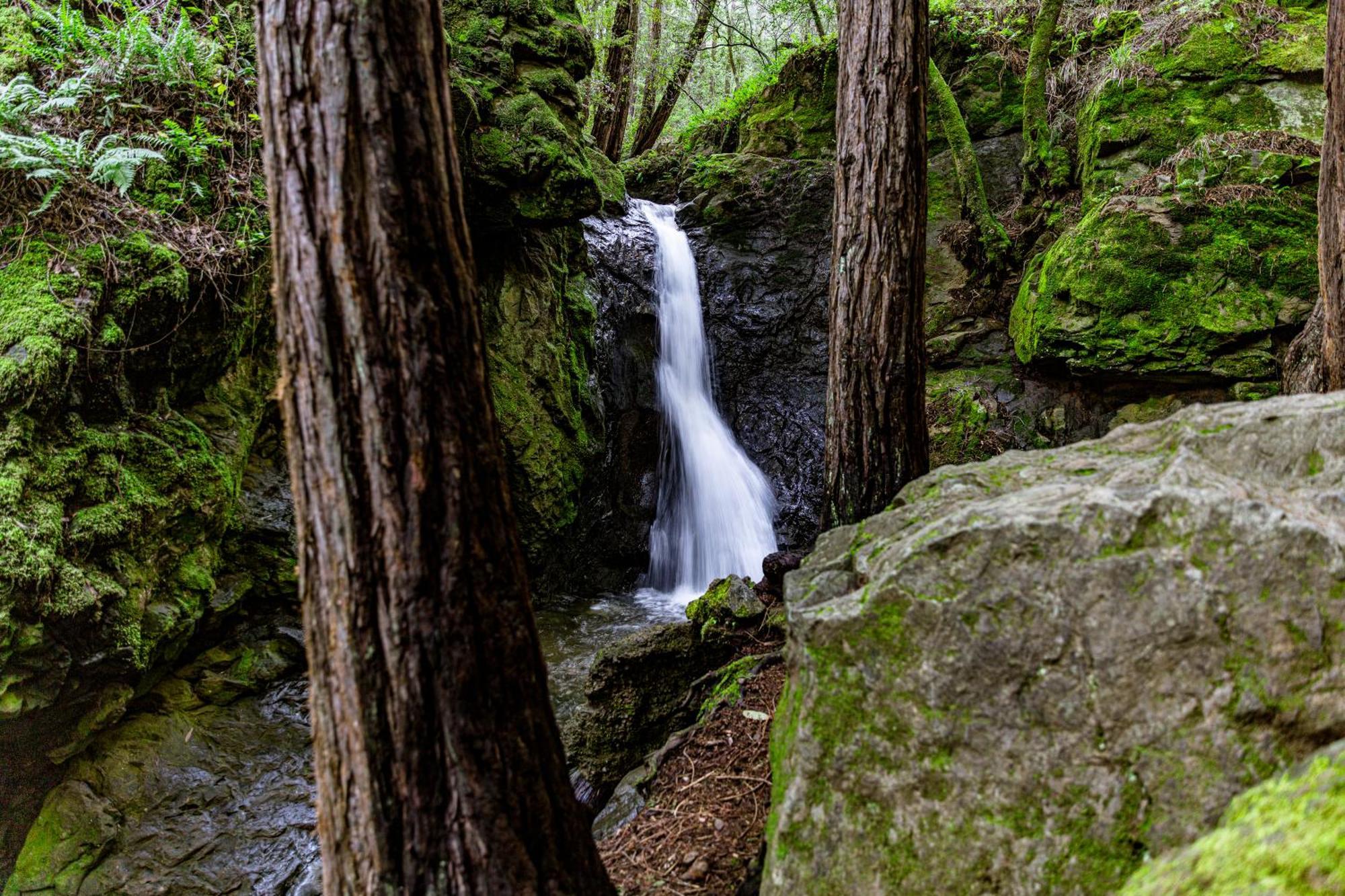 Enchanted Waterfall Sanctuary Mill Valley Kültér fotó