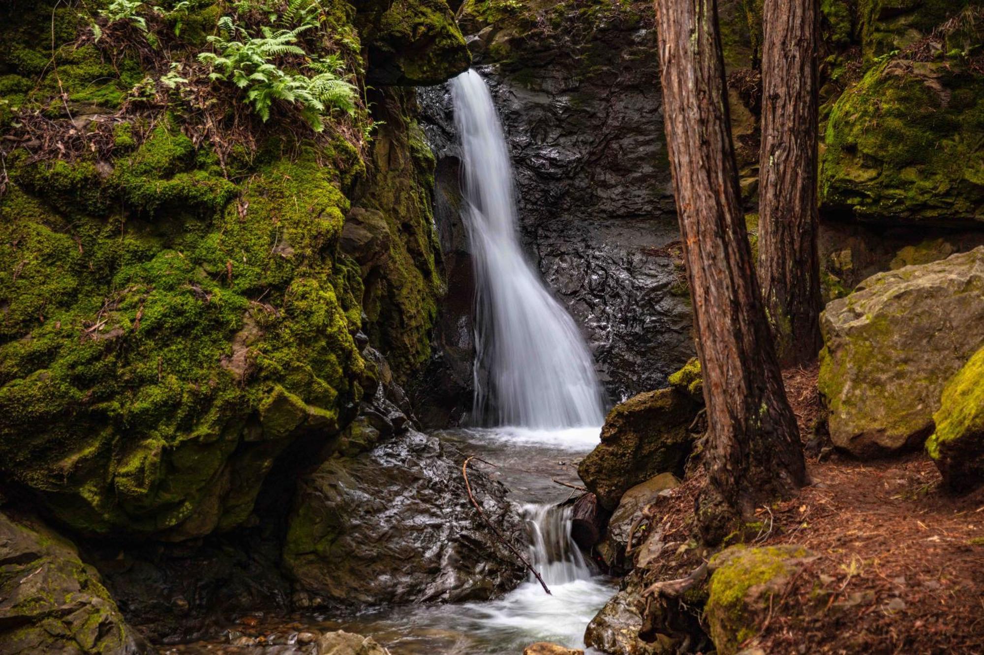 Enchanted Waterfall Sanctuary Mill Valley Kültér fotó
